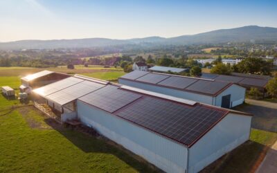 Record solaire en 2025 : 1,4 GW raccordés au 1er trimestre